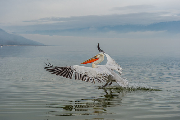 Lake Kerki ~ Greece