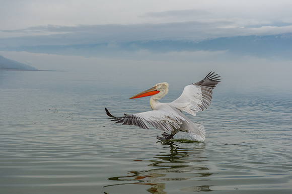 Lake Kerki ~ Greece