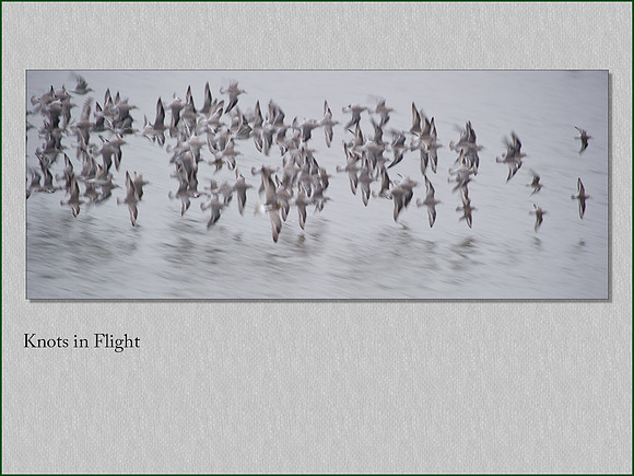 Knots in Flight (1 of 1)