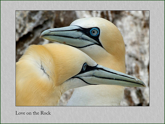 Love on the Rock